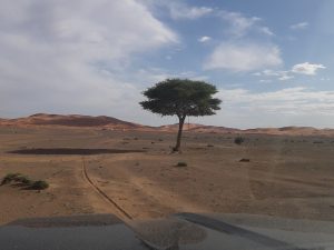 merzouga bivouac